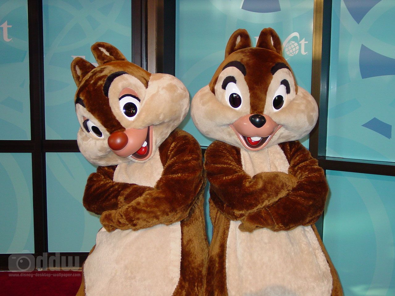 Detail How To Tell Chip And Dale Apart Nomer 13