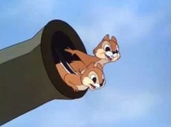 Detail How To Tell Chip And Dale Apart Nomer 19