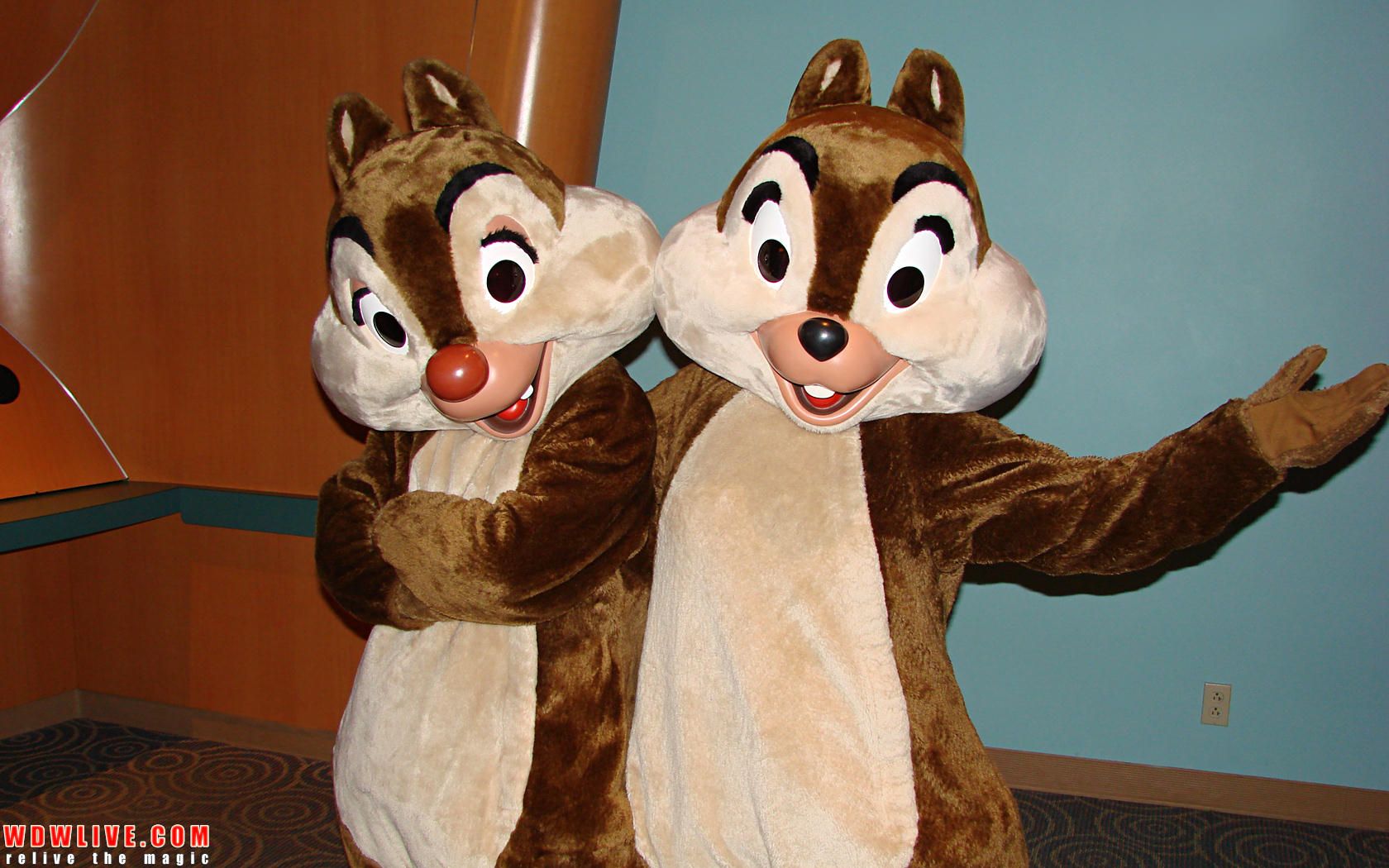 Detail How To Tell Chip And Dale Apart Nomer 31