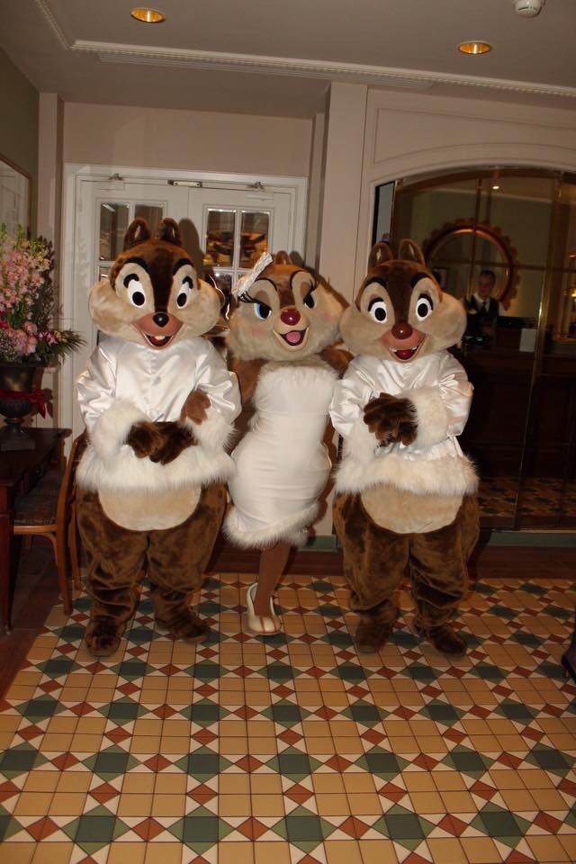 Detail How To Tell Chip And Dale Apart Nomer 38
