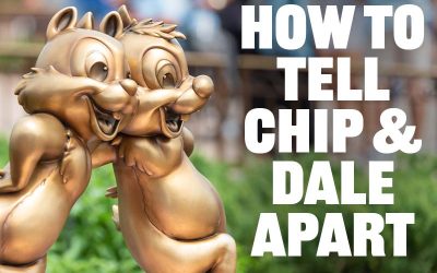 Detail How To Tell Chip And Dale Apart Nomer 43