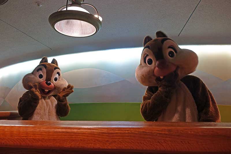 Detail How To Tell Chip And Dale Apart Nomer 44