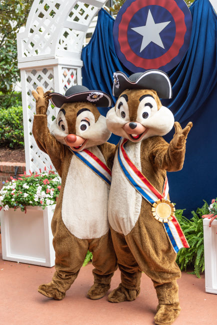 Detail How To Tell Chip And Dale Apart Nomer 5