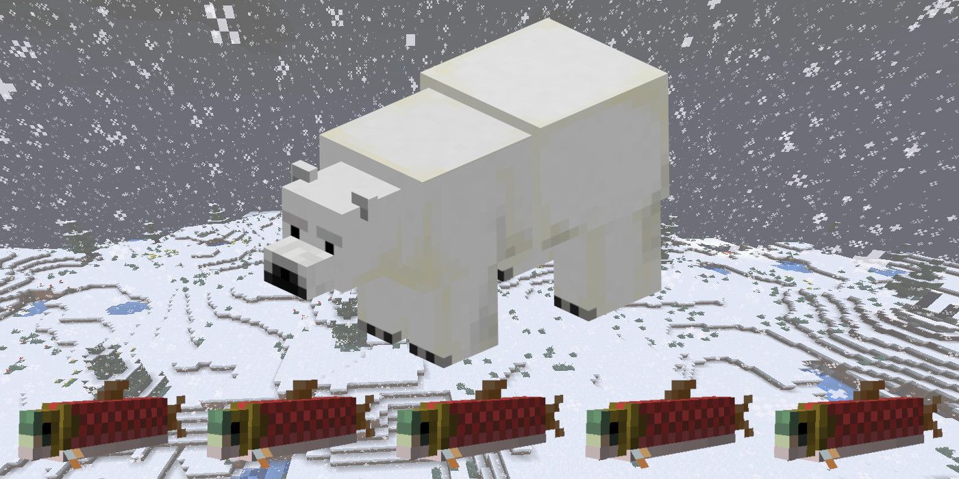 Detail How To Train A Polar Bear In Minecraft Nomer 11
