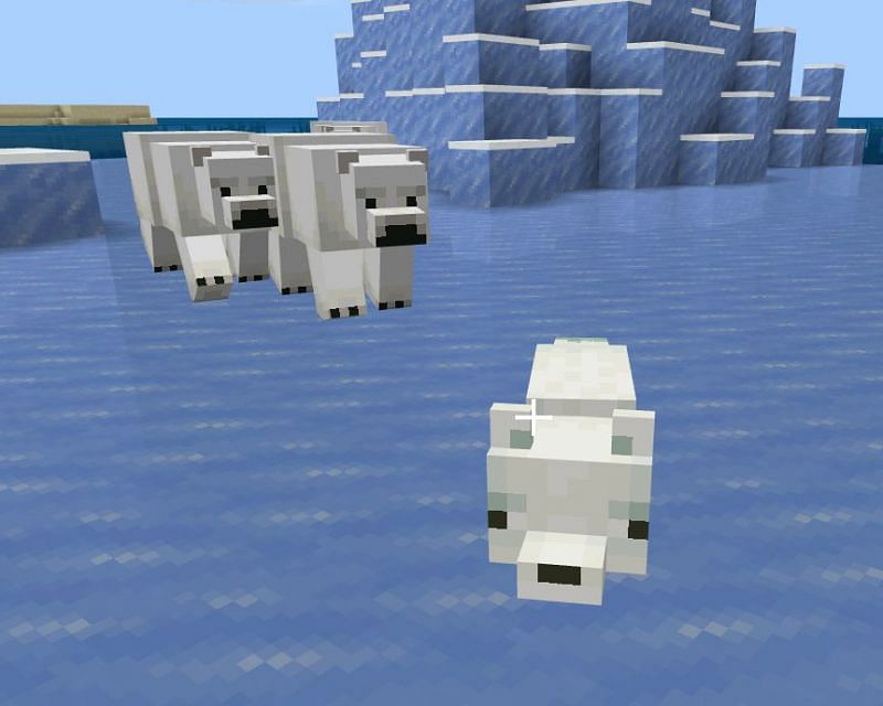 Detail How To Train A Polar Bear In Minecraft Nomer 12