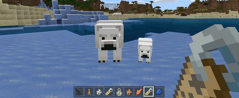 Detail How To Train A Polar Bear In Minecraft Nomer 3