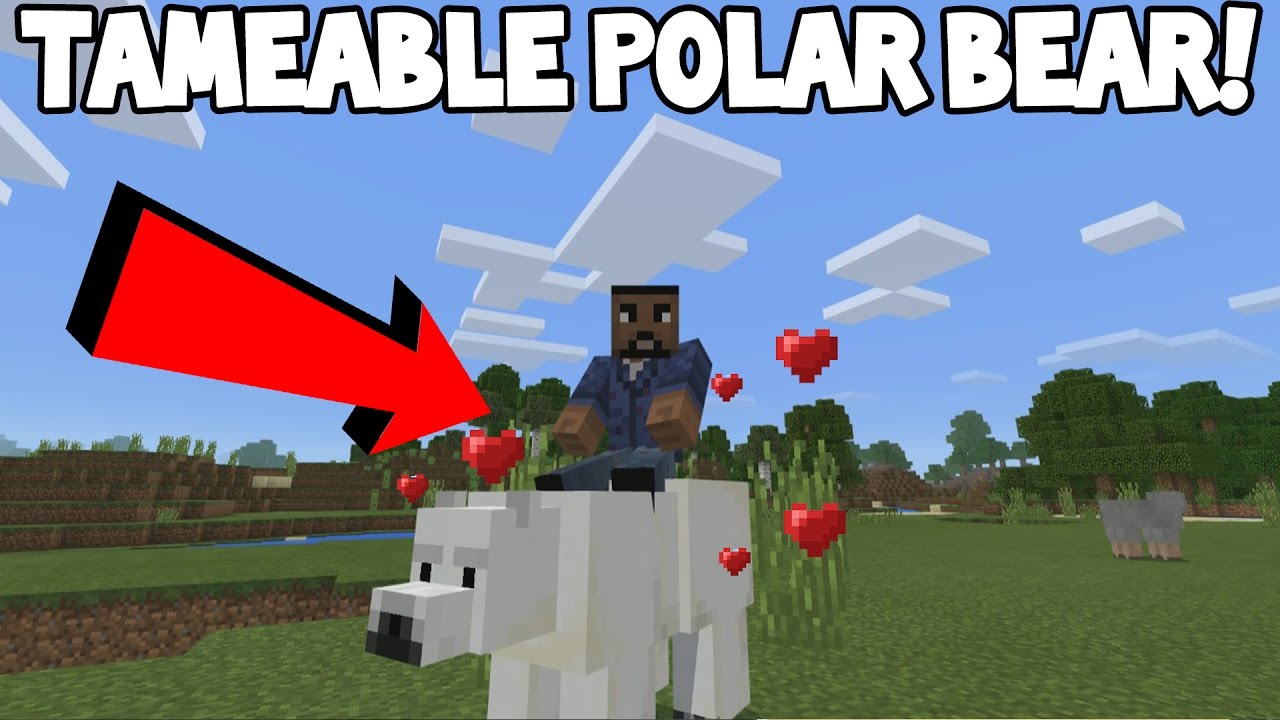 Detail How To Train A Polar Bear In Minecraft Nomer 20