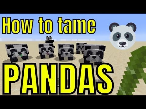 Detail How To Train A Polar Bear In Minecraft Nomer 53