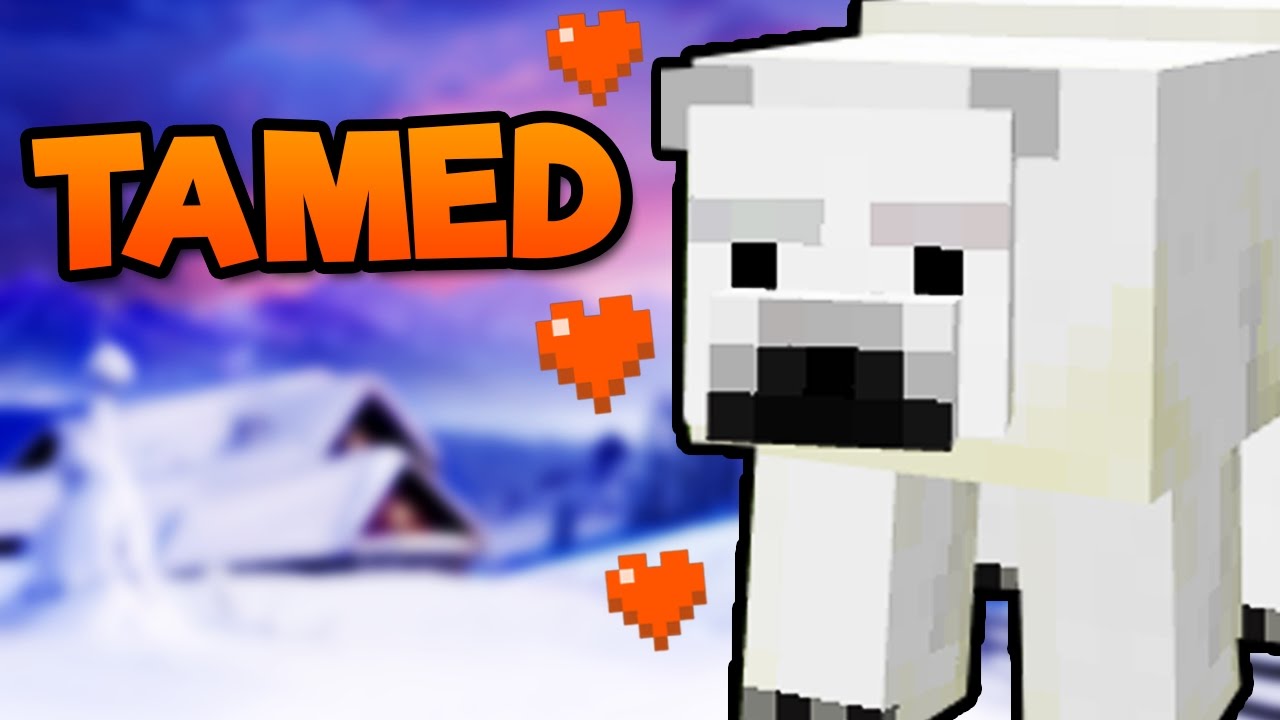 Detail How To Train A Polar Bear In Minecraft Nomer 9