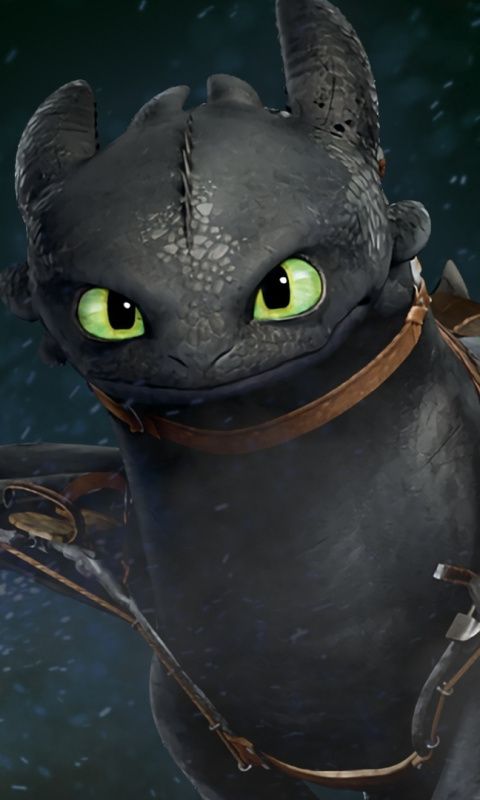 Download How To Train Your Dragon 2 Night Fury Wallpaper Nomer 27