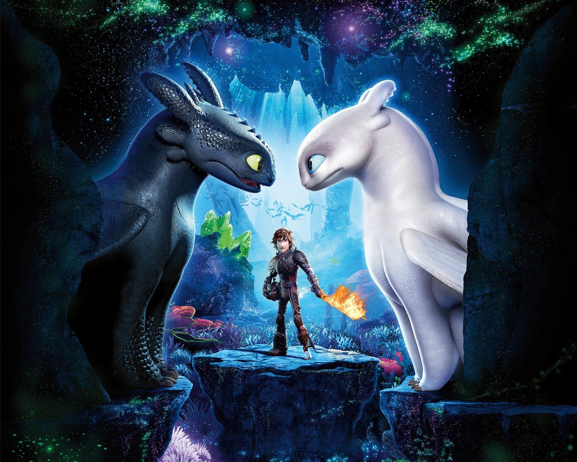 Detail How To Train Your Dragon Hd Nomer 11