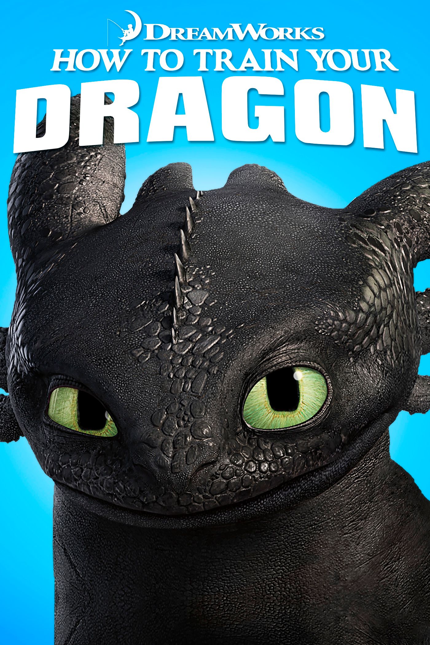Detail How To Train Your Dragon Hd Nomer 23