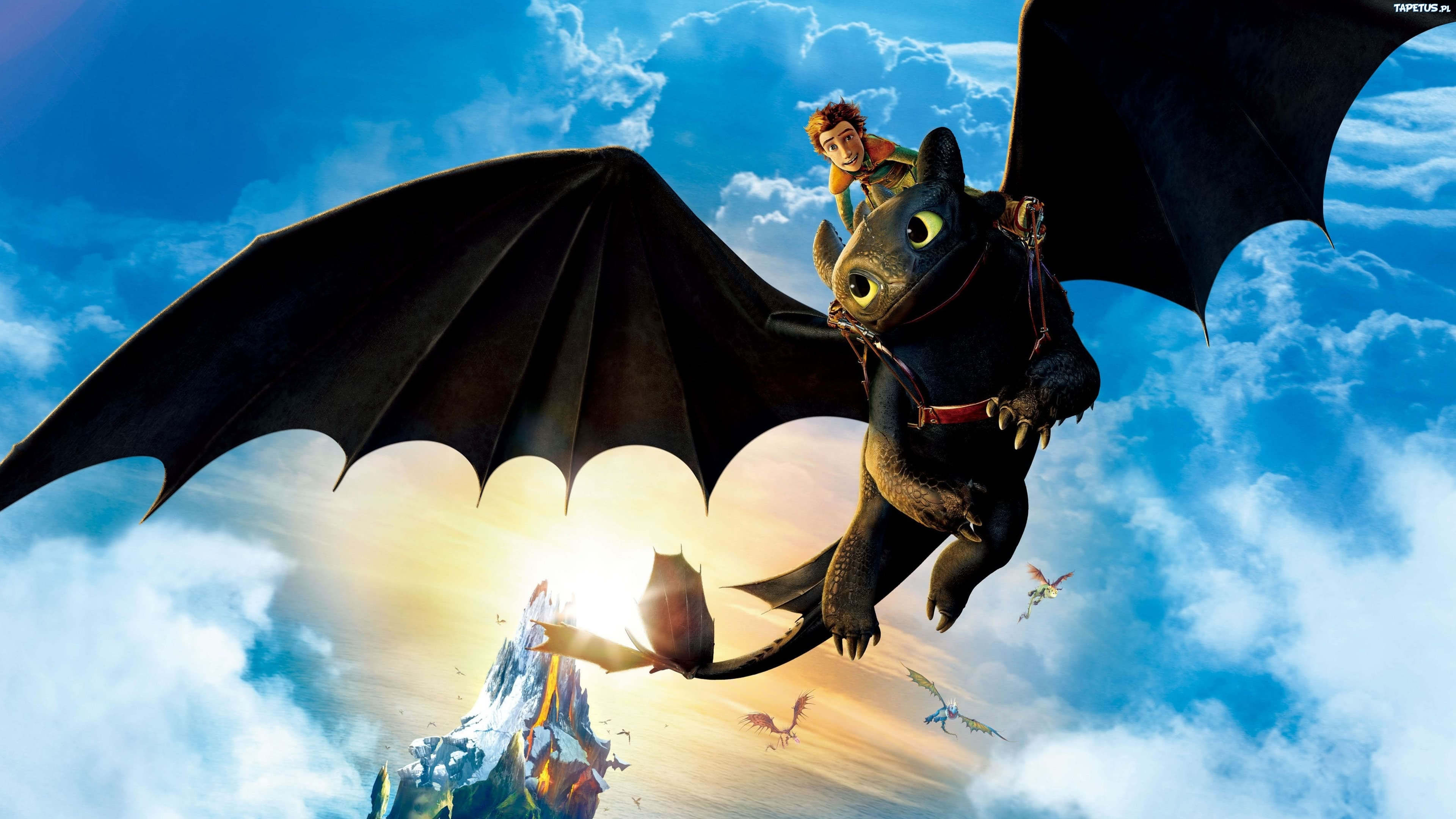 Detail How To Train Your Dragon Hd Nomer 26