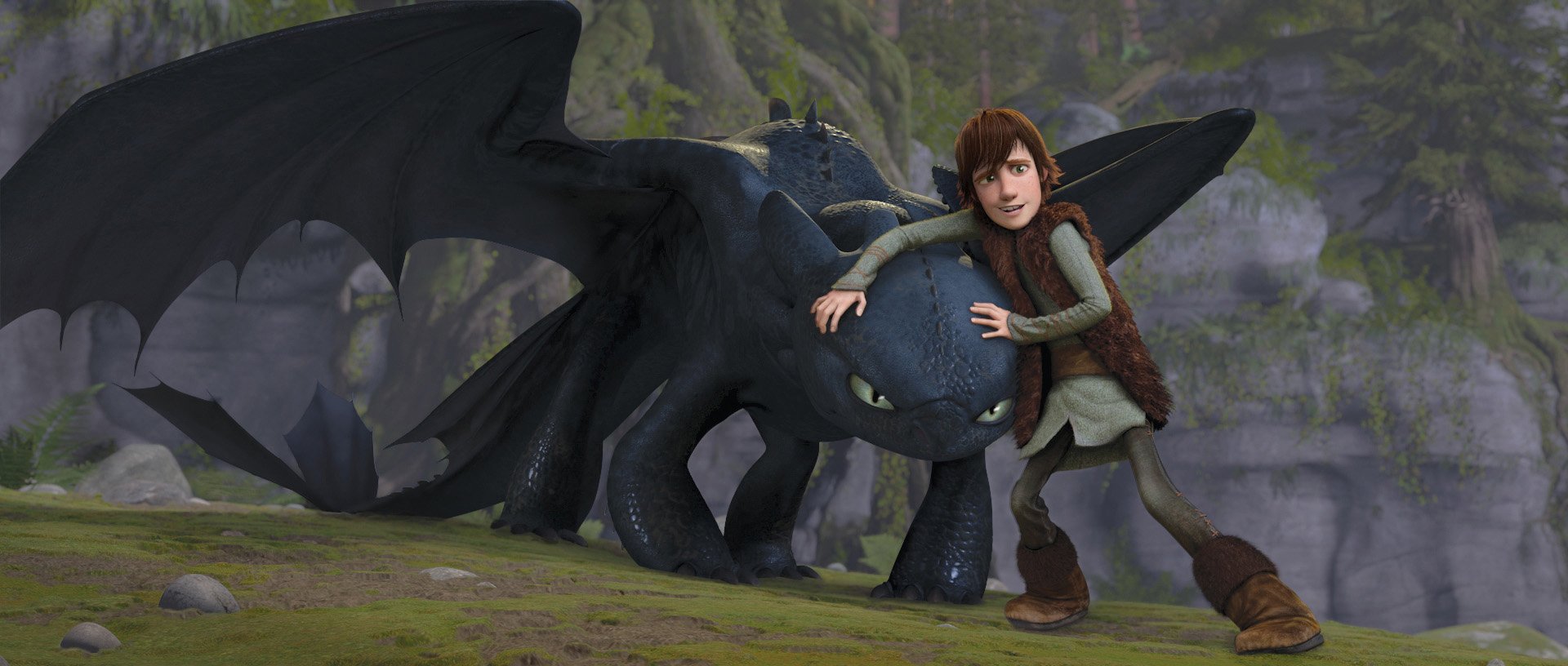 Detail How To Train Your Dragon Hd Nomer 33