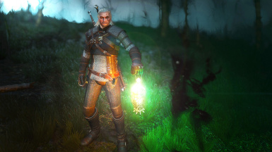 Detail How To Use Magic Lamp Witcher 3 Pc Nomer 23