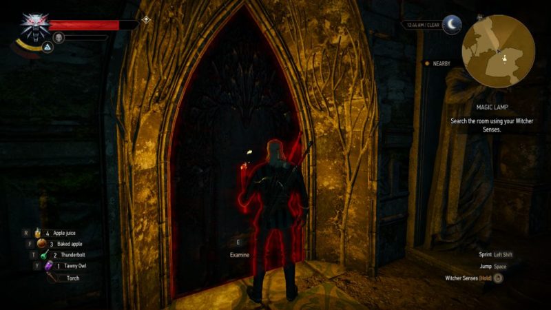 Detail How To Use Magic Lamp Witcher 3 Pc Nomer 28