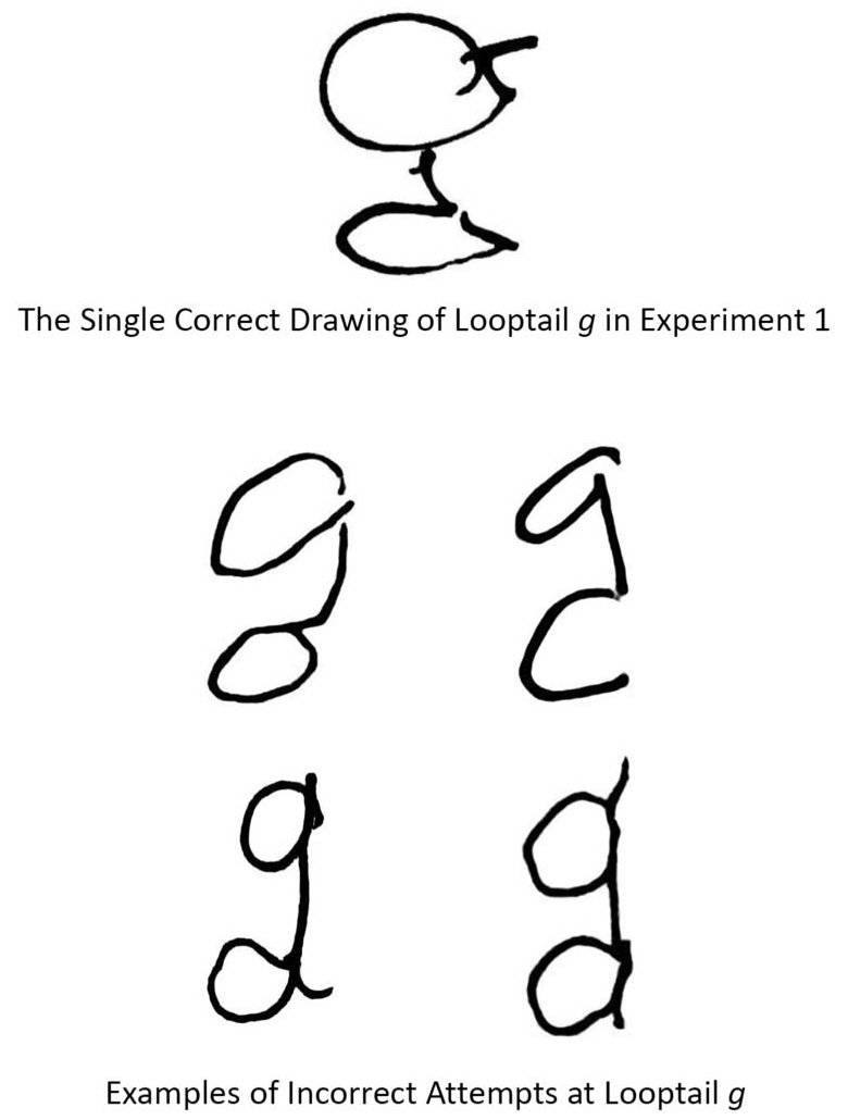 Detail How To Write Looptail G Nomer 6