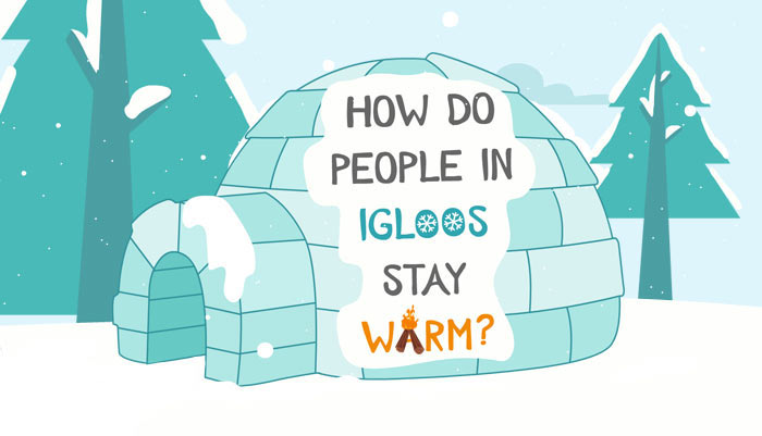 Detail How Warm Is It Inside An Igloo Nomer 28