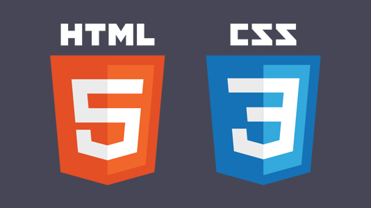 Detail Html Css Logo Nomer 6