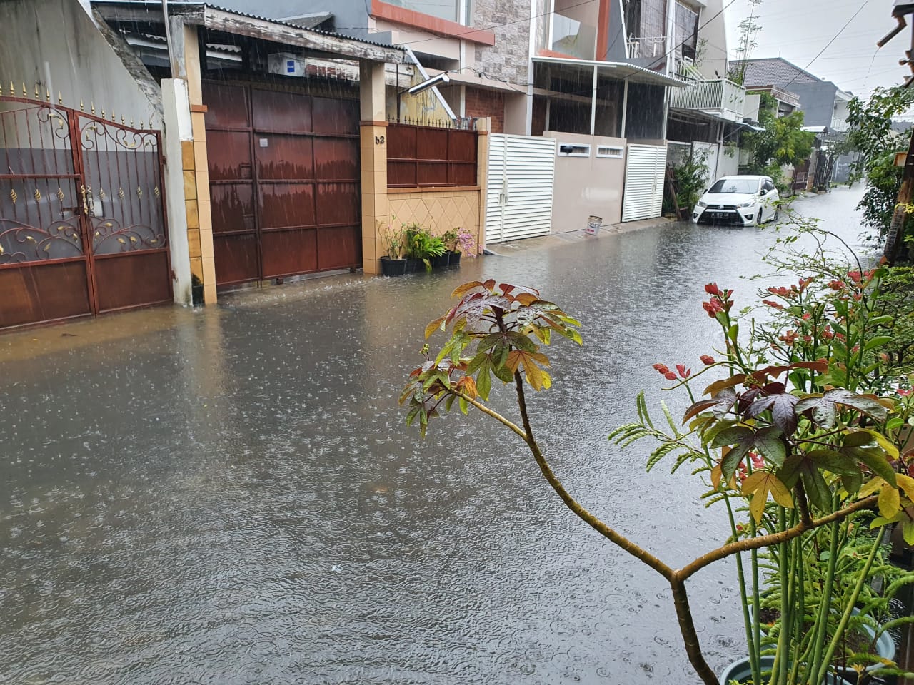 Detail Hujan Depan Rumah Nomer 45