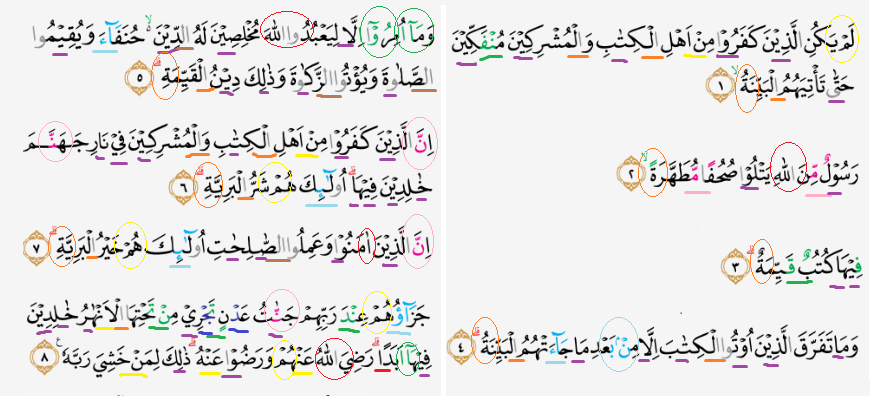 Detail Hukum Bacaan Surat Al Bayyinah Nomer 5