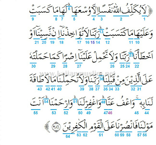 Detail Hukum Bacaan Surat Al Bayyinah Nomer 9