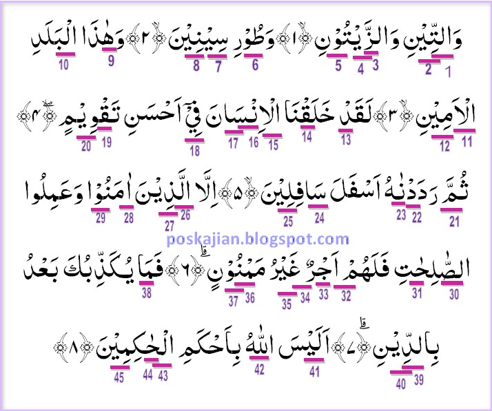 Detail Hukum Tajwid Surat At Tin Nomer 4