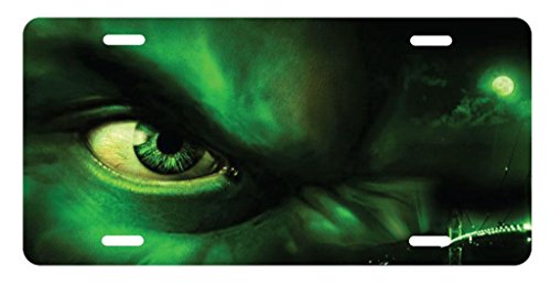 Detail Hulk License Plate Frame Nomer 57