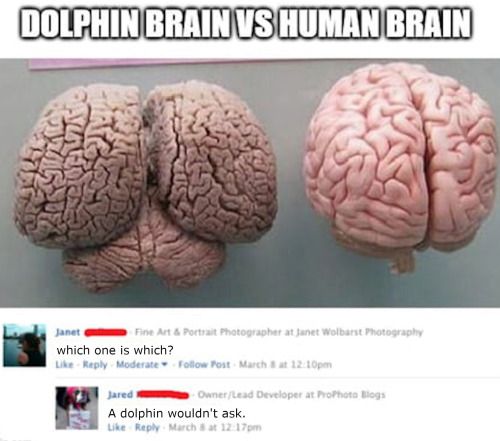 Detail Human Brain Meme Nomer 27
