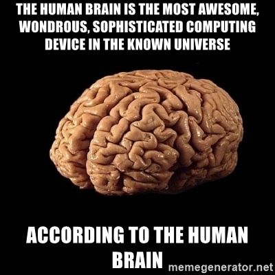 Detail Human Brain Meme Nomer 38