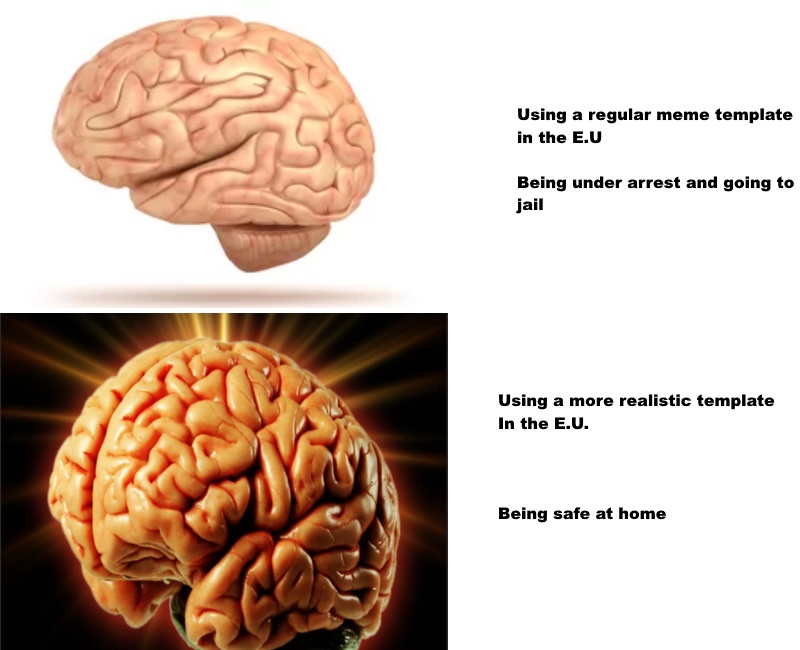 Detail Human Brain Meme Nomer 39