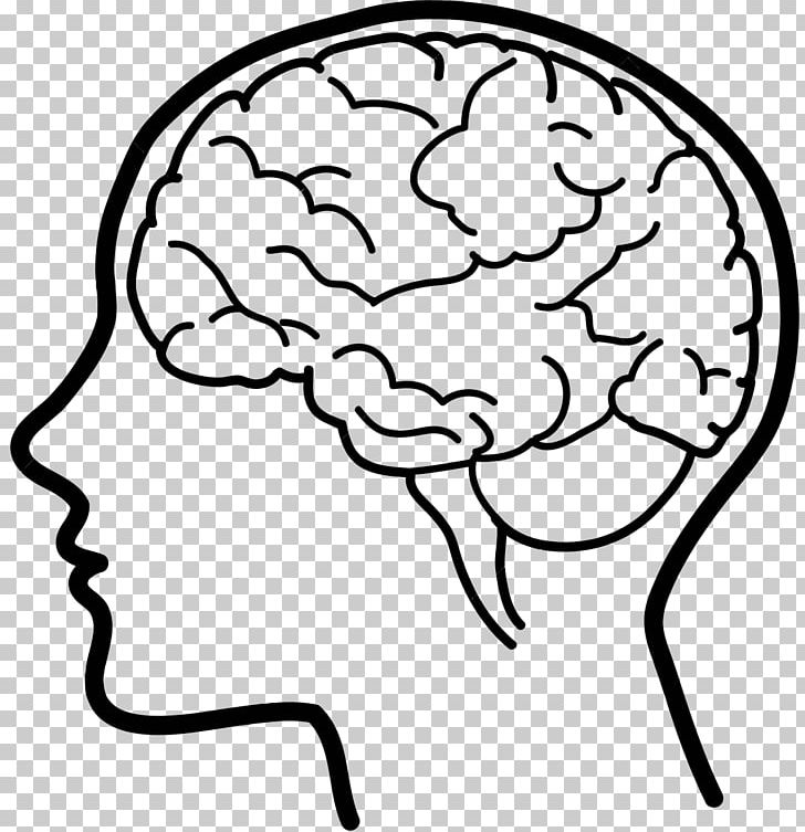 Detail Human Brain Png Nomer 27