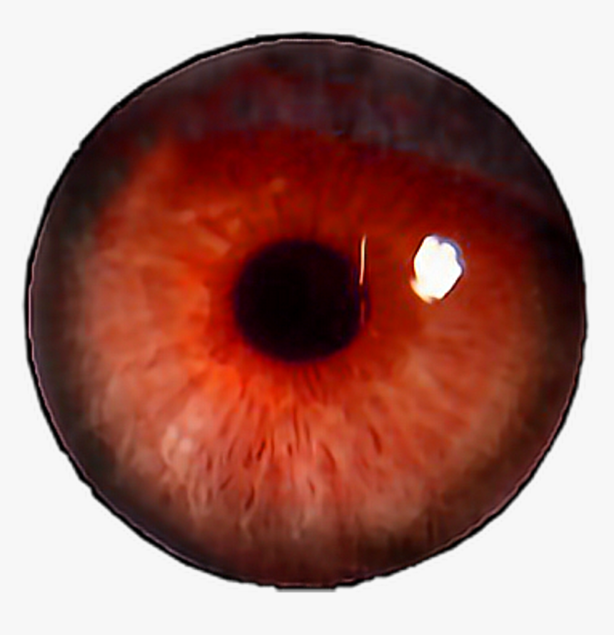 Detail Human Eye Png Nomer 38