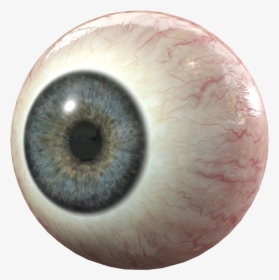 Detail Human Eye Transparent Background Nomer 2