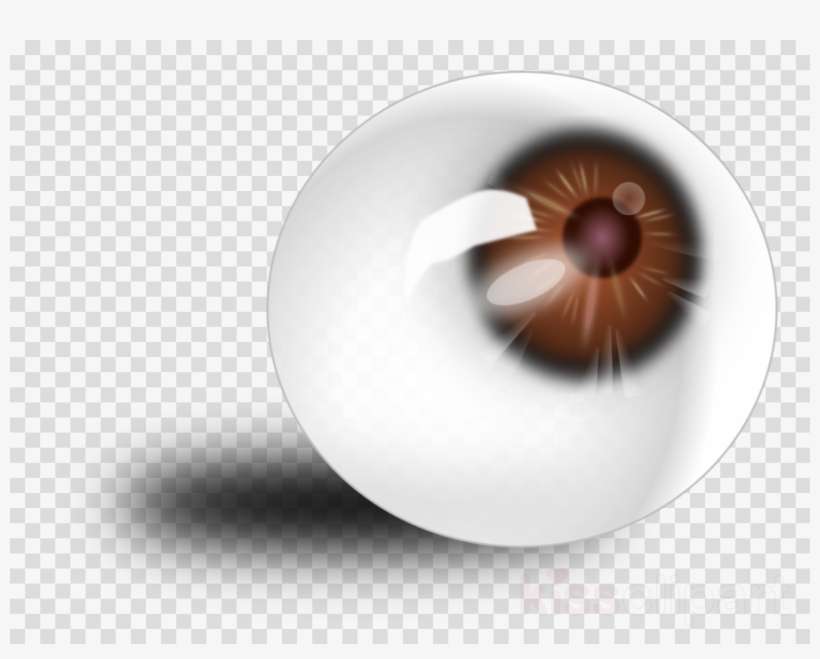 Detail Human Eye Transparent Background Nomer 18