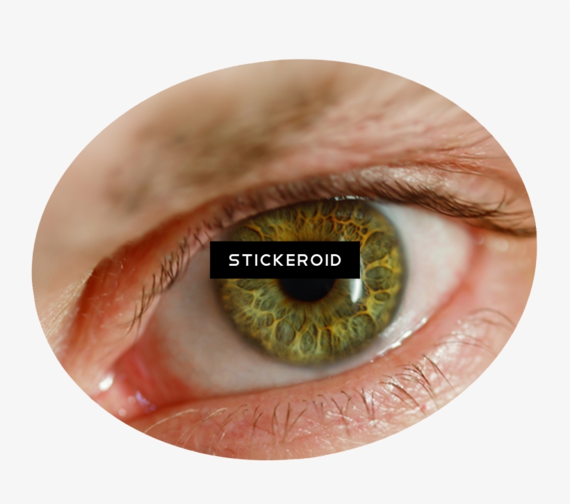 Detail Human Eye Transparent Background Nomer 5