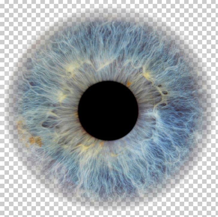 Detail Human Eye Transparent Background Nomer 10
