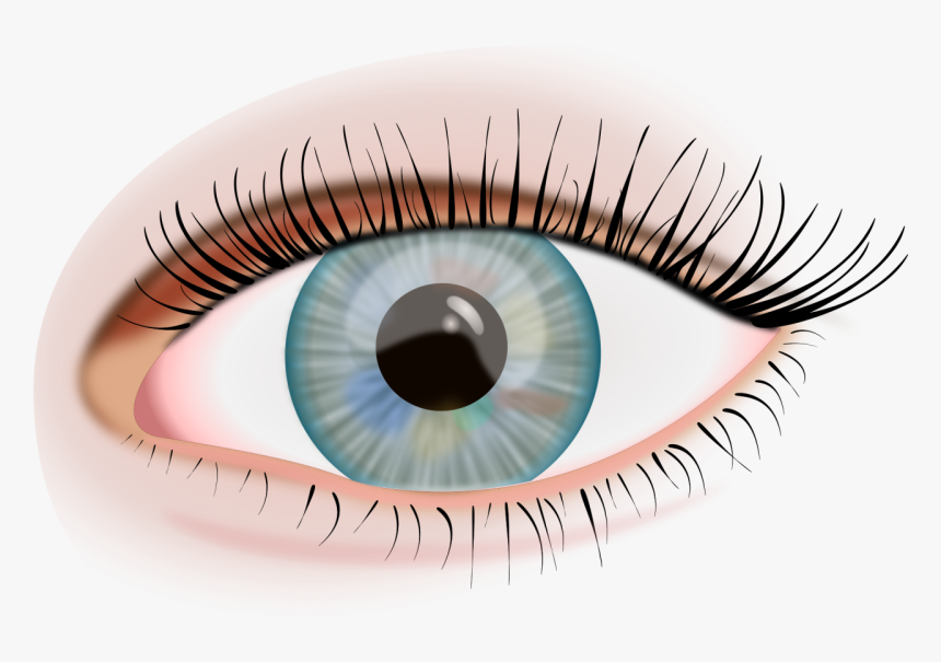 Detail Human Eyes Png Nomer 13