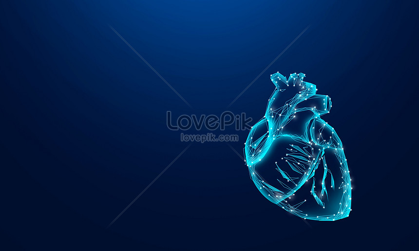 Detail Human Heart Images Free Download Nomer 29