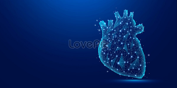 Detail Human Heart Images Free Download Nomer 31