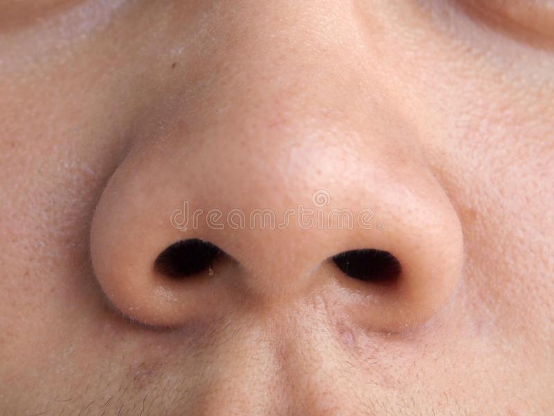 Detail Human Nose Images Nomer 15