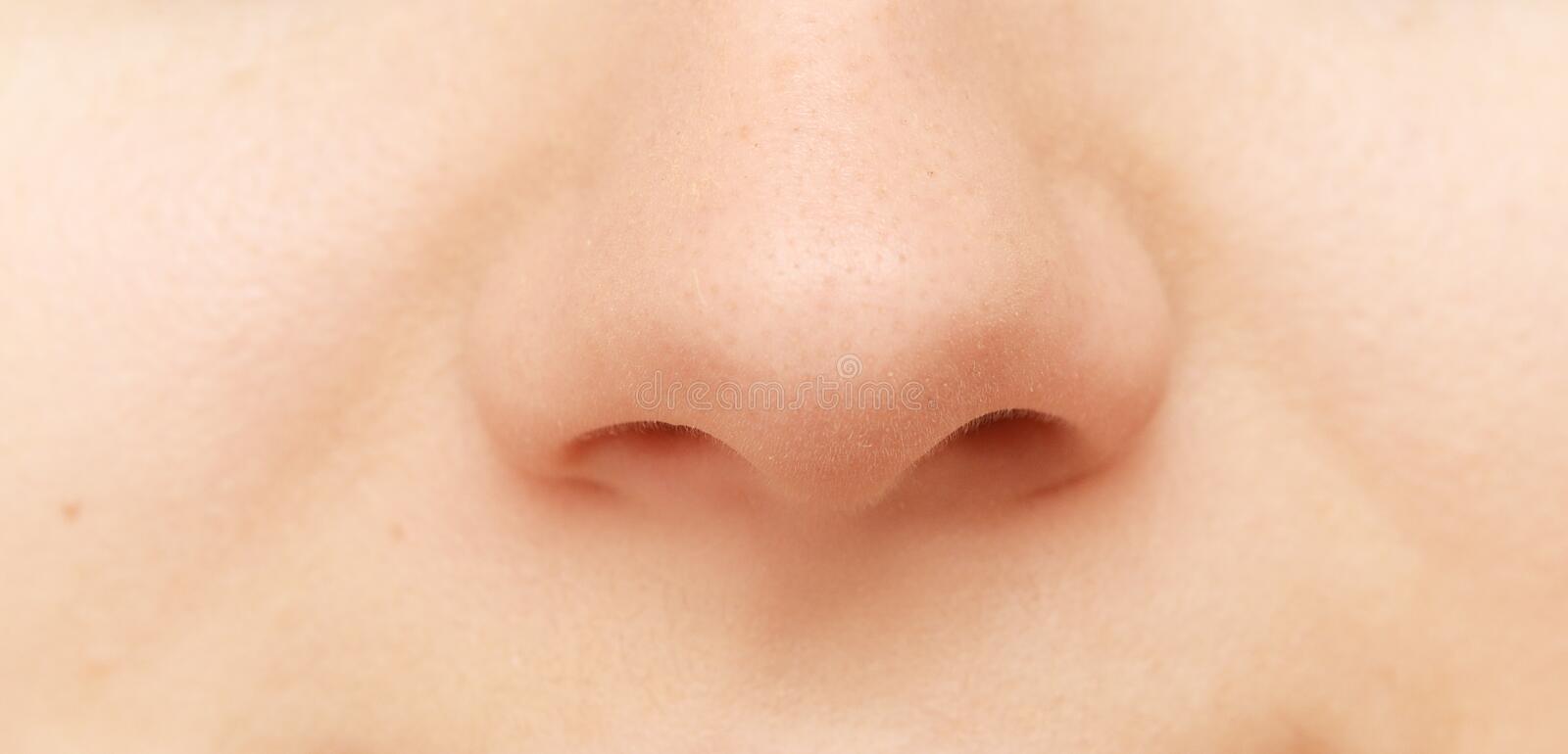 Detail Human Nose Images Nomer 19