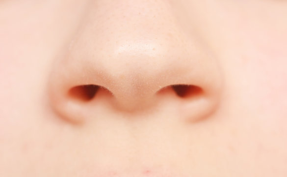 Detail Human Nose Images Nomer 21