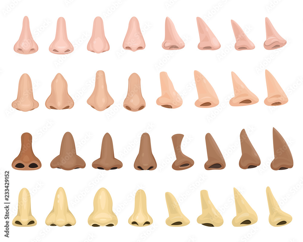 Detail Human Nose Images Nomer 34