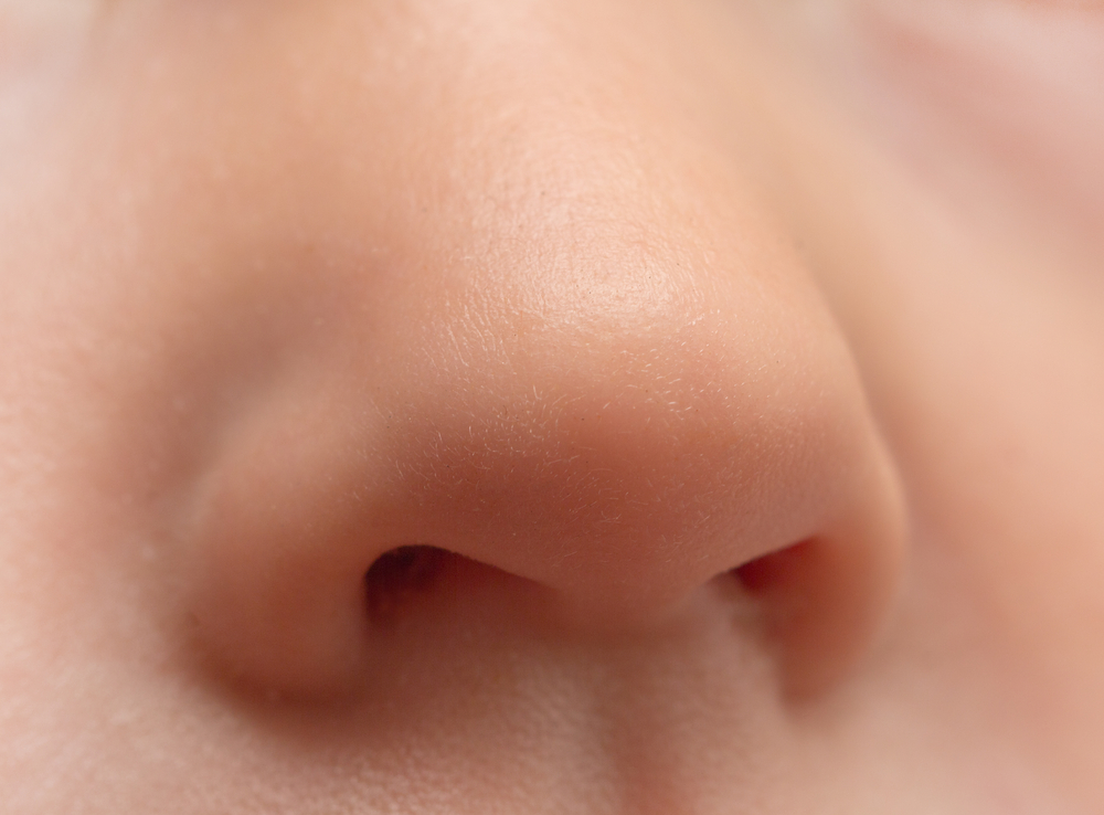 Detail Human Nose Picture Nomer 4