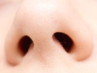 Detail Human Nose Picture Nomer 49