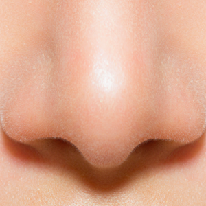 Detail Human Nose Picture Nomer 52