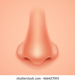 Detail Human Nose Pictures Nomer 2