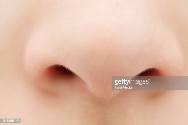 Detail Human Nose Pictures Nomer 33