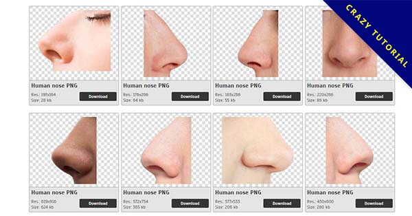 Detail Human Nose Png Nomer 24